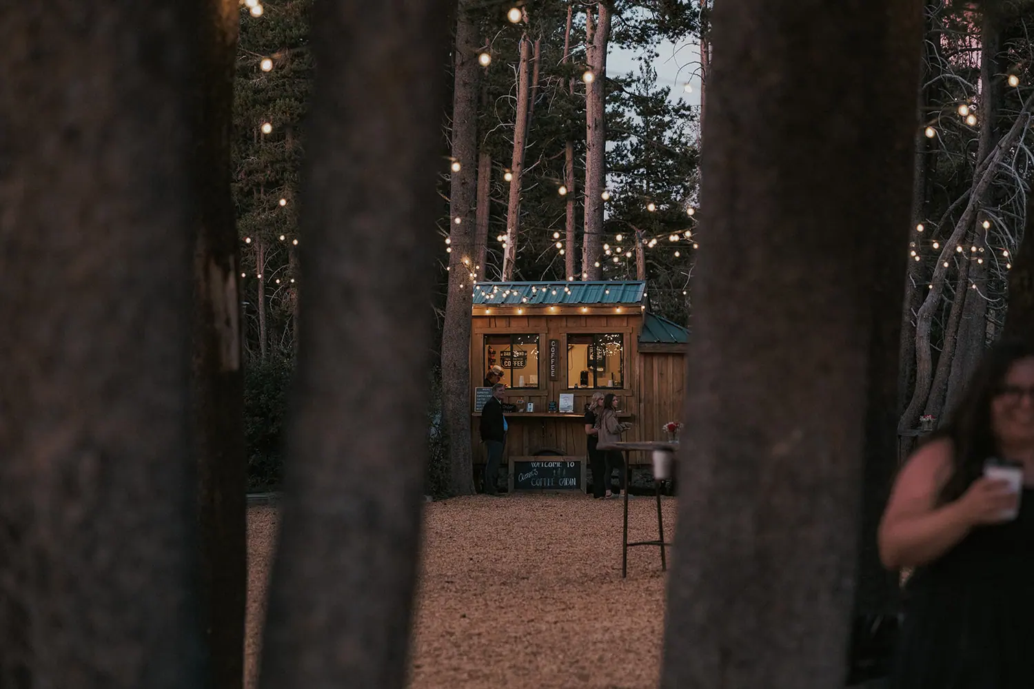 The coffee cabin lit under string lights after dark.